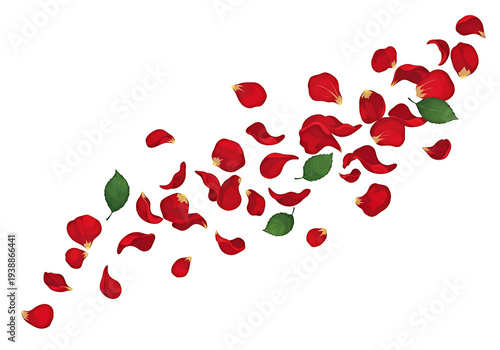 Red Rose Petals Scattered T...
