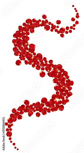 Wallpaper Mural Red Rose Petals Swirling Abstract Design Isolated Transparent PNG Torontodigital.ca