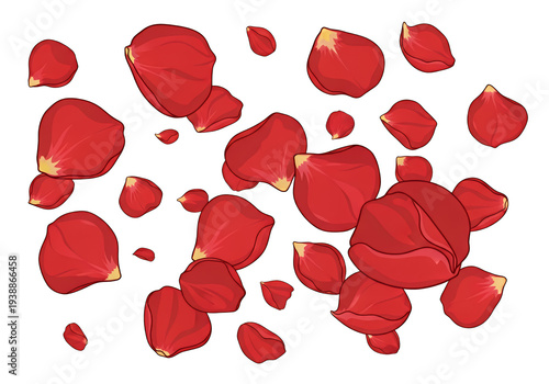 Red Rose Petals Scattered T...