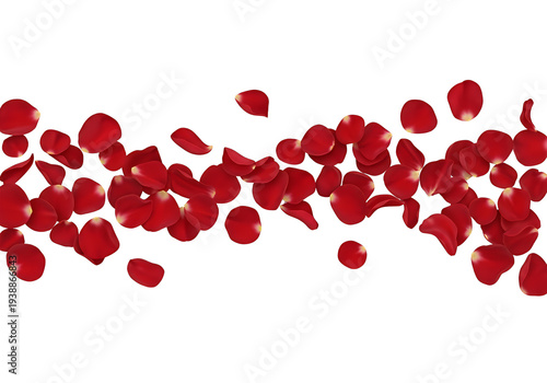 Wallpaper Mural Scattered Red Rose Petals Border Realistic Photo Isolated Transparent Background Torontodigital.ca