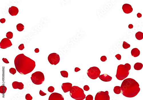 Wallpaper Mural Scattered Red Rose Petals Isolated Transparent Background Romantic Decoration Torontodigital.ca