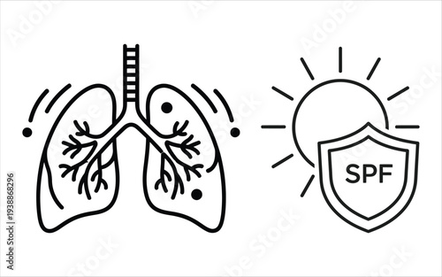 Lungs protected from uv rays with spf shield