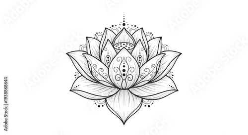 Hand-drawn Lotus Mandala Illustration