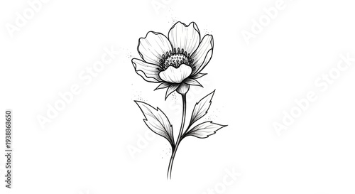 Hand-drawn single flower sketch on white background