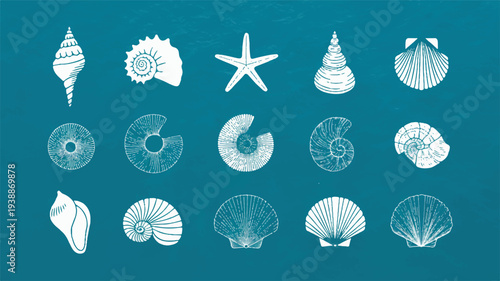 vector set of sea shells