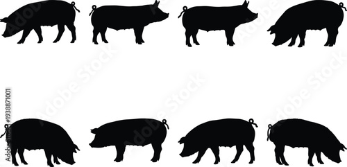 Collection of eight black silhouettes of pigs in various poses, showcasing different angles and actions on a clean white background.