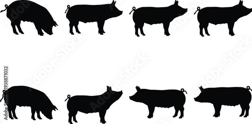 Compilation of eight black silhouette drawings of pigs, capturing different movements and stances, isolated against a white backdrop.