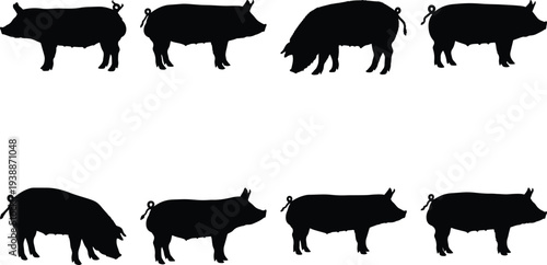 Eight distinct black silhouettes of pigs are presented in different postures and movements against a plain white backdrop.