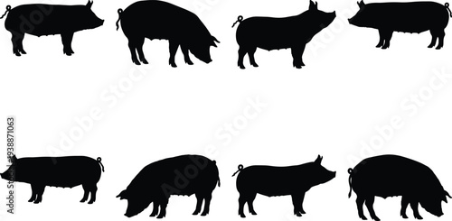 A diverse set of eight black pig silhouettes captures various poses and activities, all isolated on a stark white background.