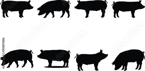 Assortment of black pig silhouettes illustrating a variety of postures and dynamics, set against a neutral white canvas.