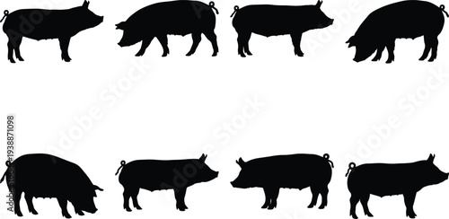 Diverse set of black pig silhouettes demonstrating multiple stances and movements, isolated on a stark white backdrop.