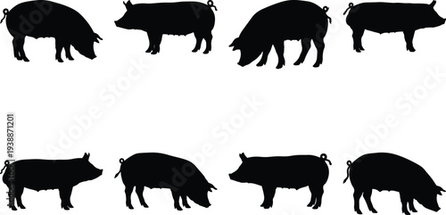 Collection of eight black silhouette illustrations of pigs in various poses, showcasing farm animals and agricultural themes on a white background.