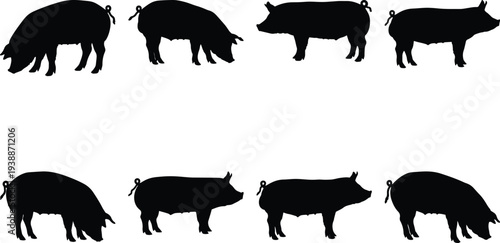 Set of eight diverse black silhouette vector graphics of pigs, depicting farm animals in different stances for agricultural and livestock themes.