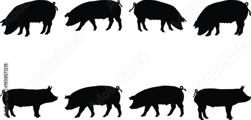 Compilation of black pig silhouettes demonstrating different actions and perspectives, suitable for isolated graphic elements.