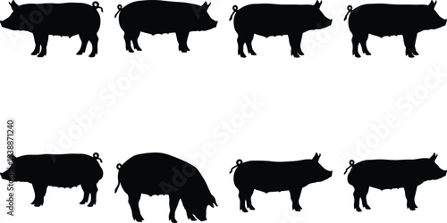Eight distinct black silhouette depictions of pigs, captured in various natural poses, suitable for farm, livestock, and agricultural design elements.