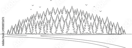 Minimalist black and white line art illustration depicting a serene coniferous forest scene with many evergreen trees, a winding path, and flying birds.
