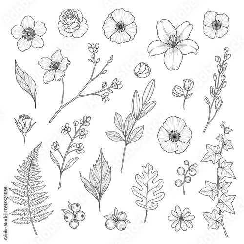 Detailed hand-drawn black and white botanical elements, including roses, lilies, ferns, and berries, rendered with precise ink linework, scattered on a transparent background with ample copy space.