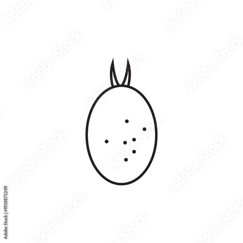 dragon fruit icon