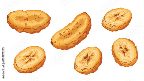 Detailed vector illustration of six crispy dried banana slices or chips in various shapes and sizes.