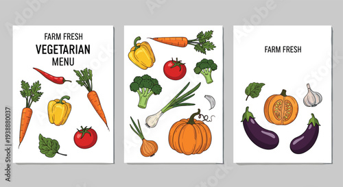 Three decorative menu cards or posters featuring hand-drawn illustrations of fresh farm vegetables like carrots.
