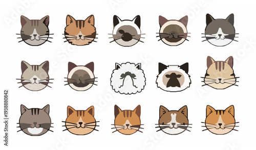 Cartoon cat breeds icon set cute funny pet feline characters vector illustration collection