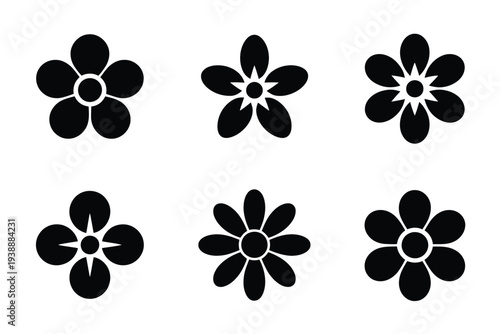 Six black and white flower flowers petals floral