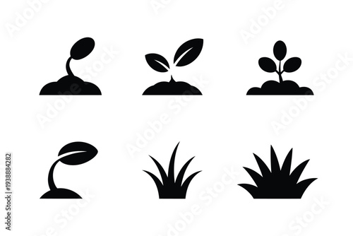 Six black and white plant growth stages sprouting seedling