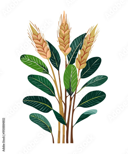 Wheat stalks with golden grains and green leaves plant illustration for agricultural farming and cereal harvest design concepts