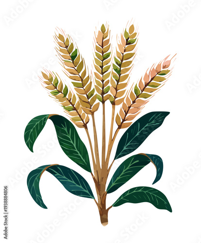 Bunch of ripe wheat grain stalks with green foliage plant illustration for bakery and natural food product branding