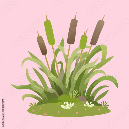 Brown marsh reeds plant illustration on a soft pink background for feminine and natural pond and wetland designs