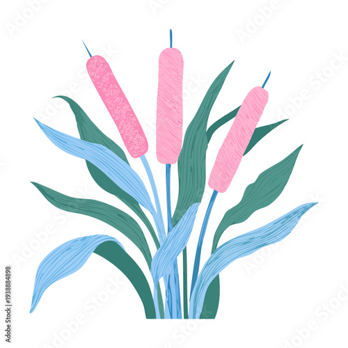 Pink and blue marsh reeds plant illustration for wetland and pond nature vector graphics and decorative floral art