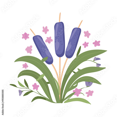 Purple marsh reeds plant illustration with green foliage for pond and wetland nature vector art and scenery designs