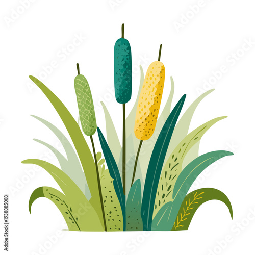 Green and yellow reeds plant illustration for wetland nature and aquatic garden vector art and pond landscape designs