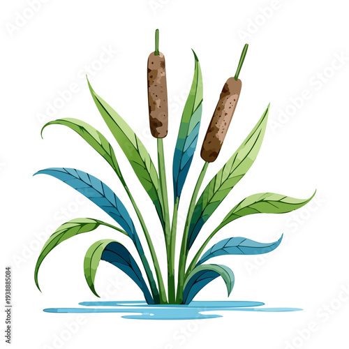 Classic Brown Bulrush Plant Cattail Growing Near Water For Natural Pond Landscape And Garden Creative Floral Illustration
