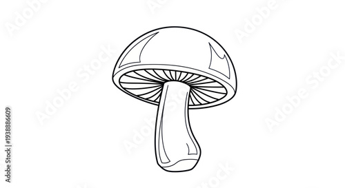 Simple line art drawing of a mushroom, isolated on white background