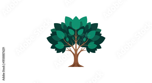 Anatomical illustration depicting a simplified human respiratory system