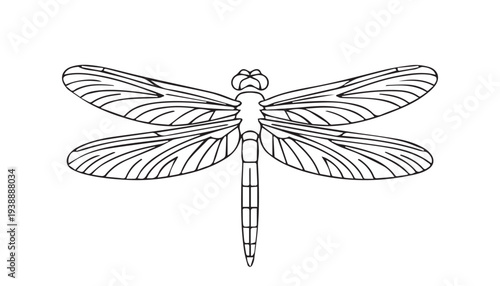 One continuous line illustration of an dragonfly , isolated on white background.