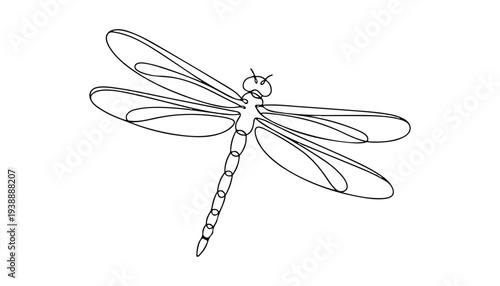 One continuous line illustration of an dragonfly , isolated on white background.