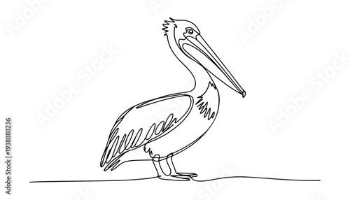 One continuous line illustration of an pelican bird, isolated on white background.