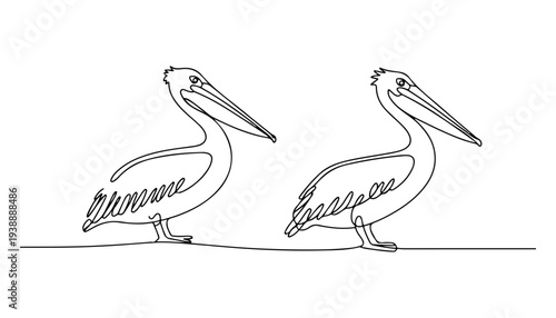 One continuous line illustration of an pelican bird, isolated on white background.