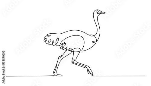 One continuous line illustration of an ostrich bird , isolated on white background.