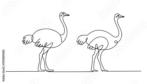 One continuous line illustration of an ostrich bird , isolated on white background.