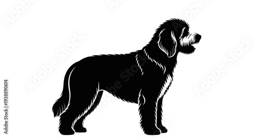 Black Silhouette of a fluffy Newfoundland dog standing on a white background