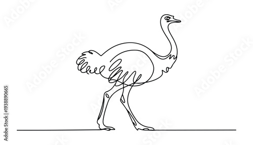 One continuous line illustration of an ostrich bird , isolated on white background.