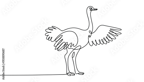 One continuous line illustration of an ostrich bird , isolated on white background.