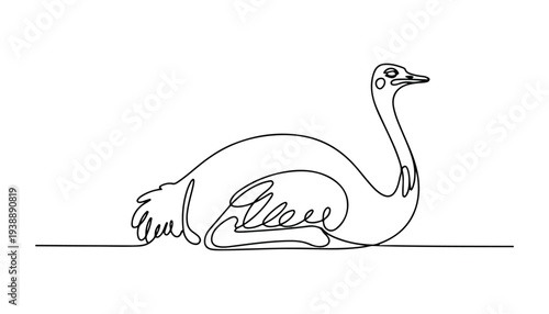 One continuous line illustration of an ostrich bird , isolated on white background.