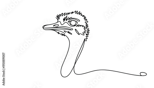 One continuous line illustration of an ostrich bird head , isolated on white background.