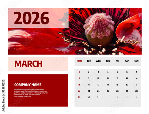 Letter calendar for  march 2026. The week begins on Sunday. Time, planning, schedule concept, and includes notes. Flat design. Removable calendar for the month. Vector illustration.