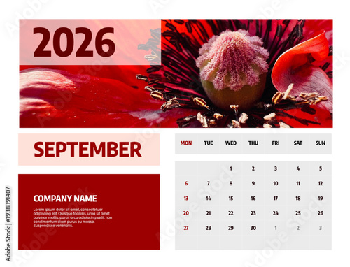 Letter calendar for  september 2026. The week begins on Sunday. Time, planning, schedule concept, and includes notes. Flat design. Removable calendar for the month. Vector illustration.