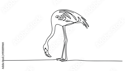 One continuous line illustration of an flamingo bird , isolated on white background.
